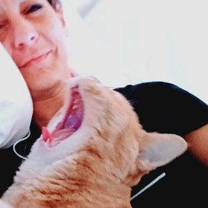 Meet your Posher, Gray